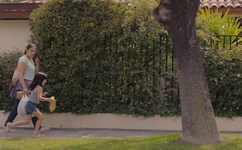 车文越详细越好推荐